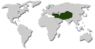 Ареал: Центральная Америка, Мексика, Перу, Индия